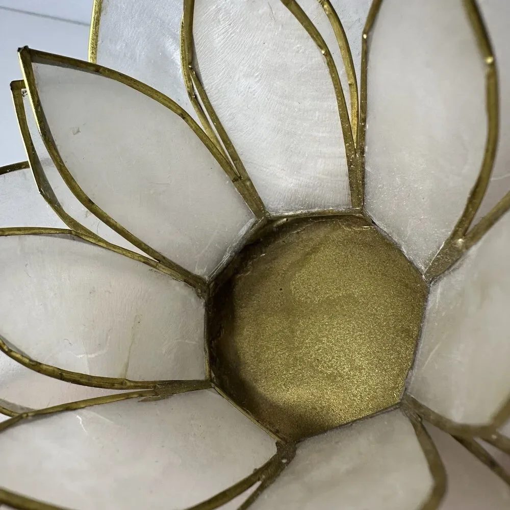 Unbranded capiz shell
